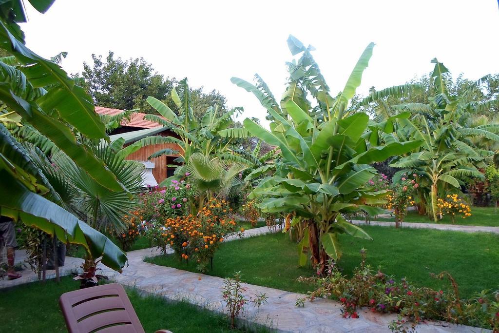 Estelar Bungalow Tatil parkı